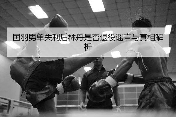 国羽男单失利后林丹是否退役谣言与真相解析