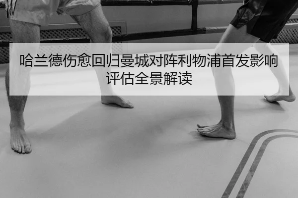 ha-lan-de-shang-yu-hui-gui-man-cheng-dui-zhen-li-wu-pu-shou-fa-ying-xiang-ping-gu-quan-jing-jie-du-2-799.jpg